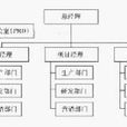 項目組織 項目組織