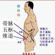 脅肋 脅肋