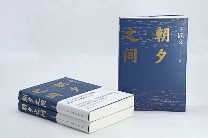 朝夕之間(2023年湖南文藝出版社出版的圖書) 朝夕之間(2023年湖南文藝出版社出版的圖書)