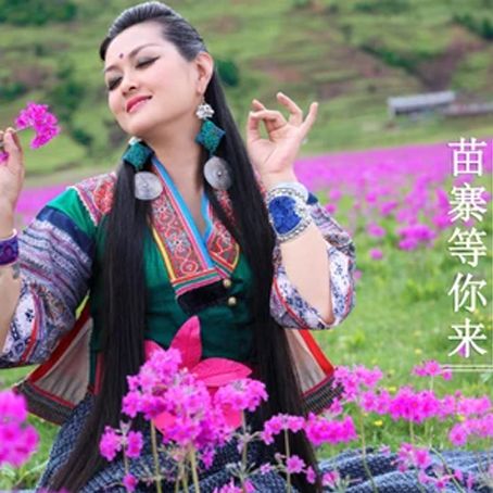 苗寨等你來 苗寨等你來
