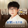 小小的我(毛不易演唱的歌曲) 小小的我(毛不易演唱的歌曲)