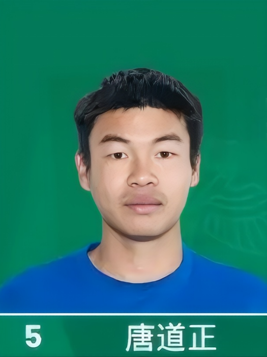 唐道正 唐道正