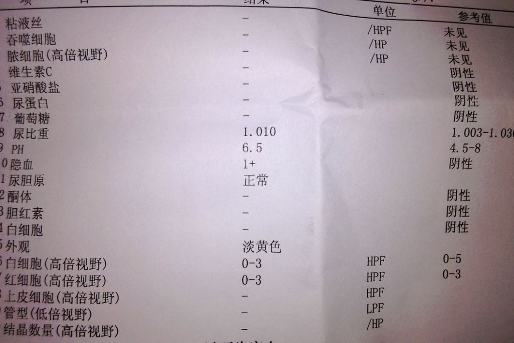 隱血1+ 隱血1+