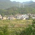 沖頭村(江西省萍鄉市蓮花縣良坊鎮下轄村) 沖頭村(江西省萍鄉市蓮花縣良坊鎮下轄村)