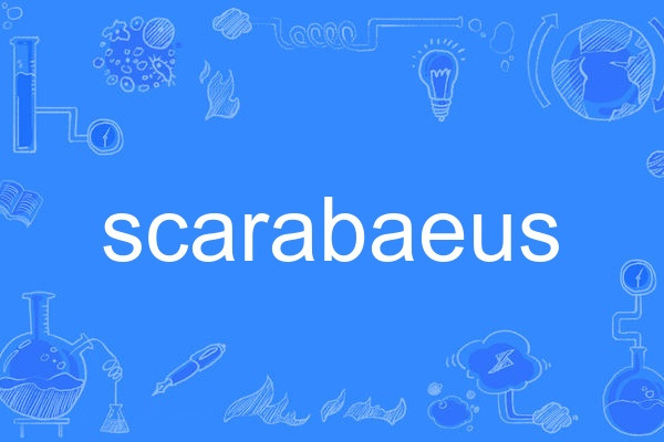scarabaeus scarabaeus