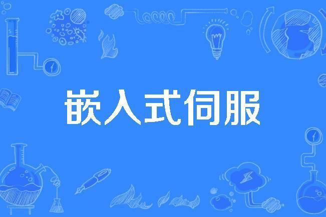 嵌入式伺服 嵌入式伺服
