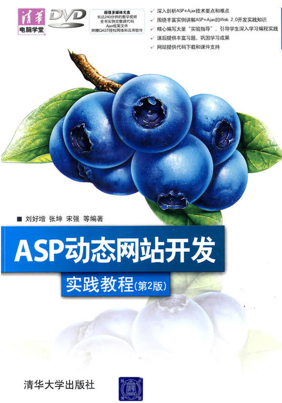 ASP動態網站開發實踐教程（第2版）
