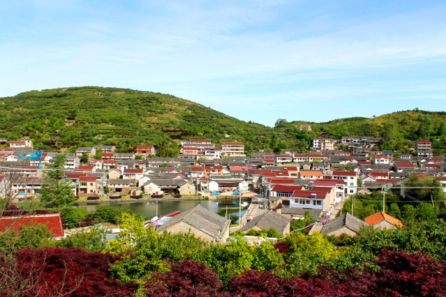 南支村 南支村