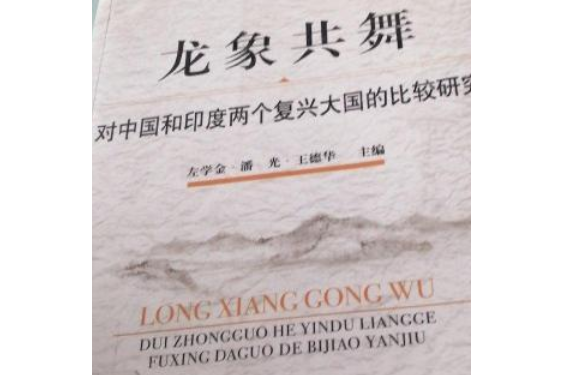 龍象共舞(2007年上海社會科學院出版社出版的圖書) 龍象共舞(2007年上海社會科學院出版社出版的圖書)