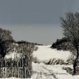 雪後料草溝 雪後料草溝
