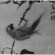 鸚鵡(白居易所作五言律詩)
