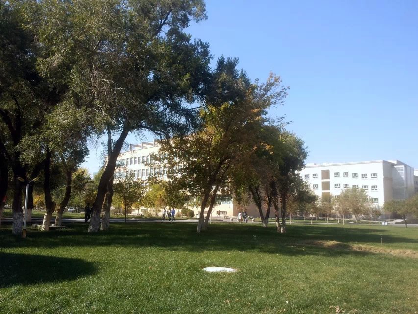 新疆農業大學