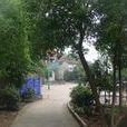 寺基村 寺基村