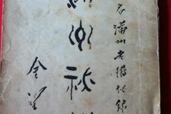 滿洲秘檔