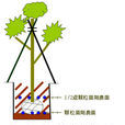 椰土 椰土