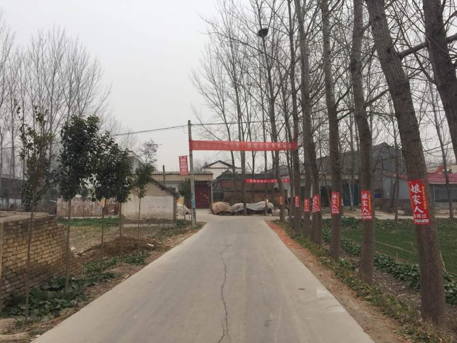 南大宋村 南大宋村