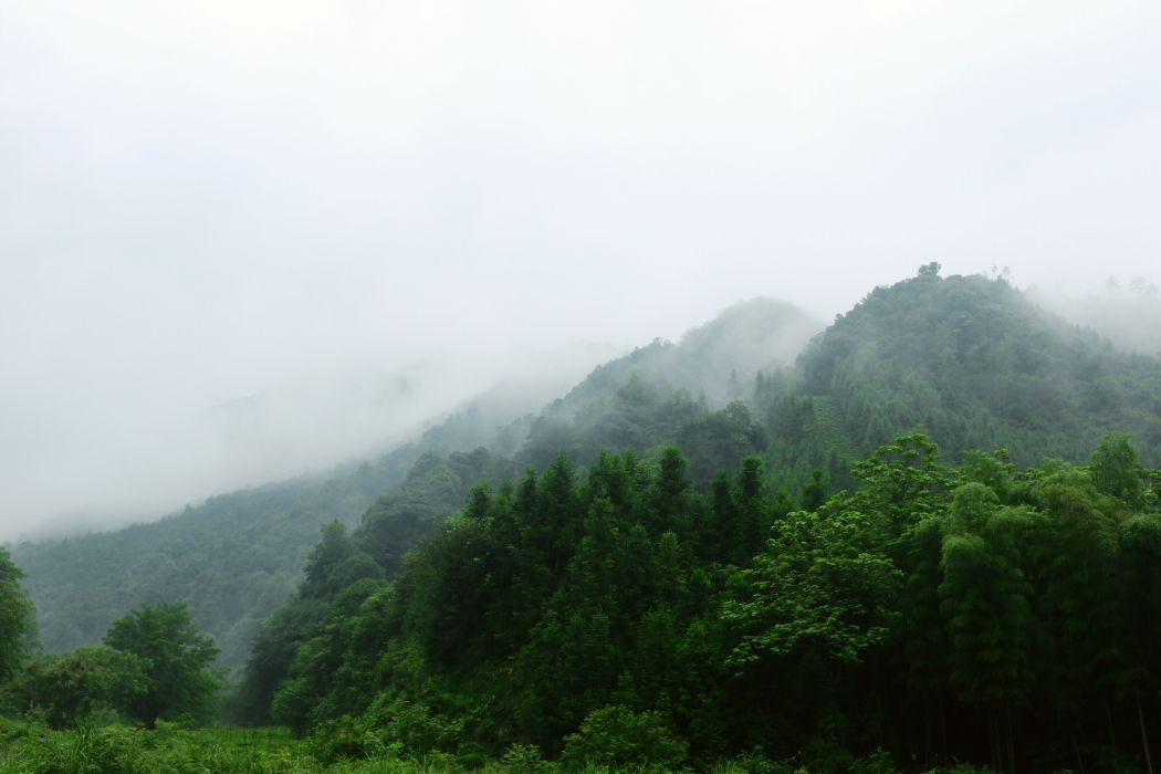 新棚村(安徽石台縣七都鎮下轄村) 新棚村(安徽石台縣七都鎮下轄村)