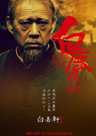 白鹿原(2012年王全安執導電影)