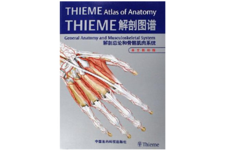 THIEME解剖圖譜-解剖總論和骨骼肌肉系統（英文影印版）