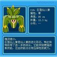 巨型仙人掌 巨型仙人掌