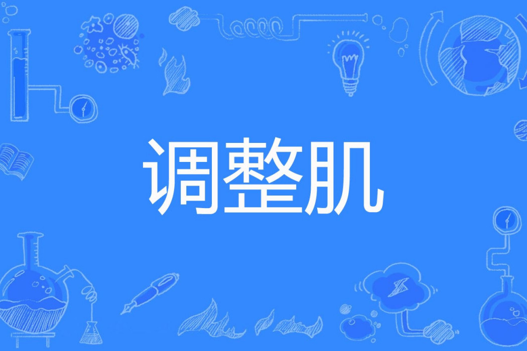 調整肌 調整肌