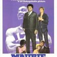 Maurie Maurie