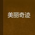 美麗奇蹟(舒星塵寫的小說) 美麗奇蹟(舒星塵寫的小說)