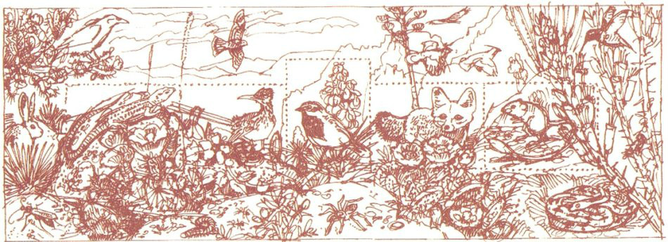 奇瓦瓦沙漠動植物郵票小全張（草圖）