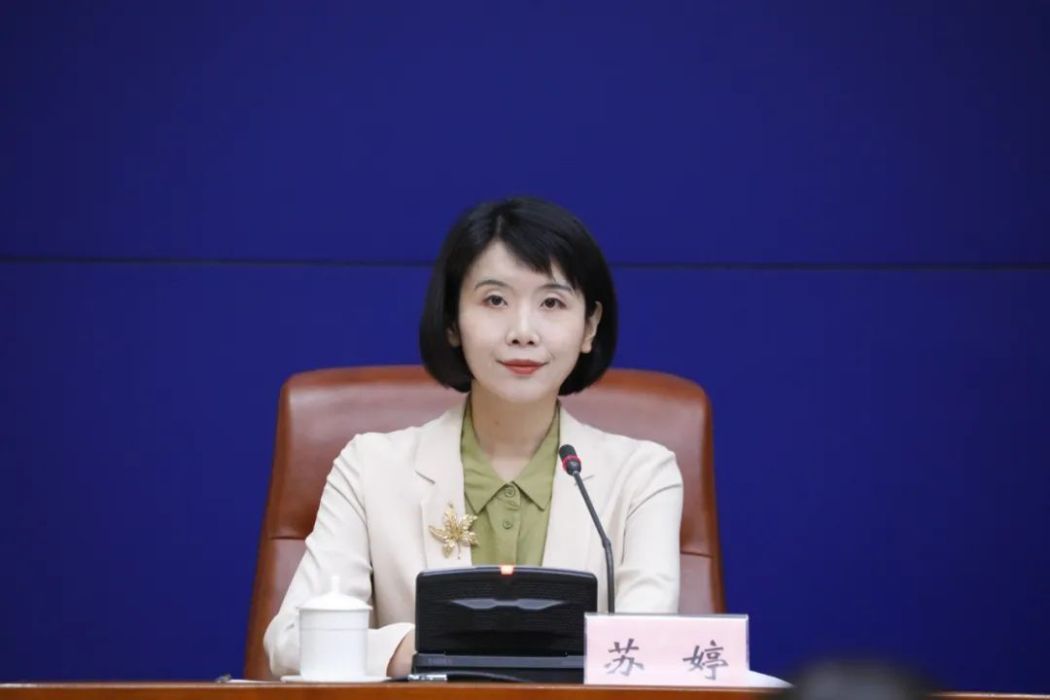 蘇婷(山東省濟南市委宣傳部新聞發布處處長)