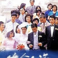 生命之旅(1987年萬梓良主演TVB電視劇)