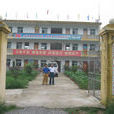 街頭村(浙江省金華市永康市下轄村)