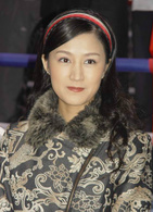 鐵拳浪子(吳奇隆主演電視劇)