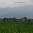 後香村 後香村