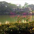 公園美景 公園美景