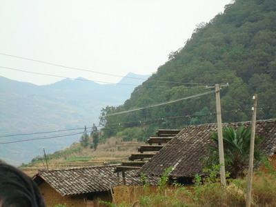 馬波自然村-生態林