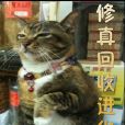修真回收進化 修真回收進化
