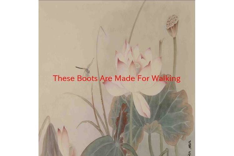 These Boots Are Made For Walking These Boots Are Made For Walking