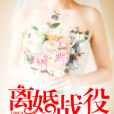 離婚戰役 離婚戰役