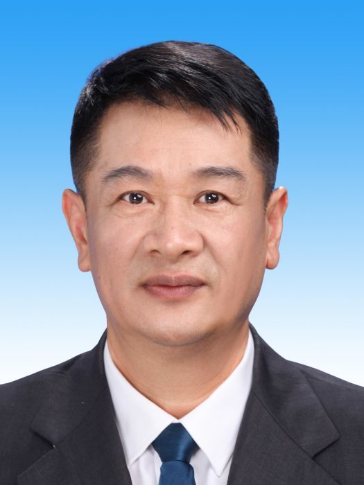何浪(廣東省佛山市市場監督管理局四級調研員) 何浪(廣東省佛山市市場監督管理局四級調研員)