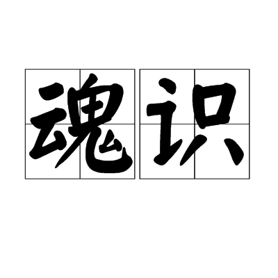 魂識 魂識