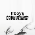 tfboys的傾城愛戀 tfboys的傾城愛戀