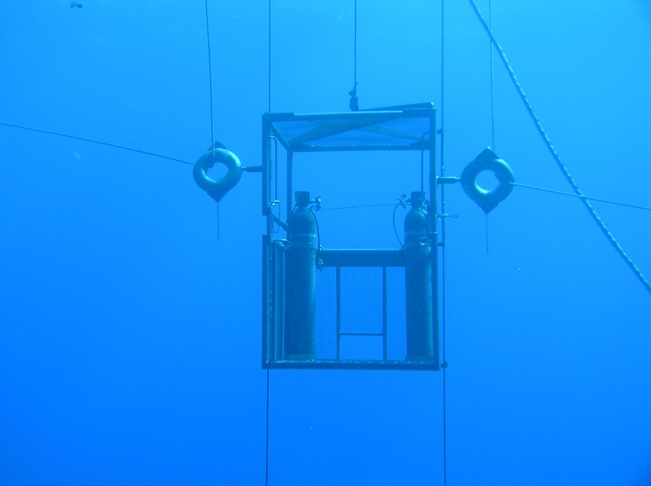 潛水吊籠(diving cage)