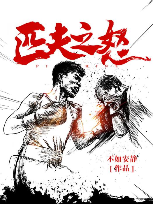匹夫之怒(不如安靜創作的網路小說)
