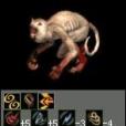 猿猴戰將 猿猴戰將