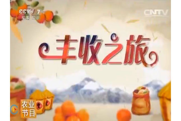 豐收之旅 豐收之旅