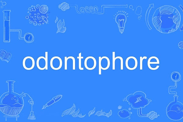 odontophore odontophore
