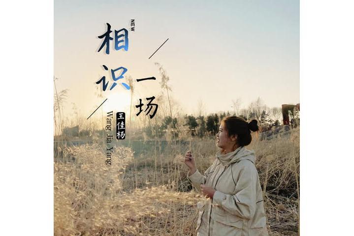 相識一場(王佳楊演唱歌曲) 相識一場(王佳楊演唱歌曲)