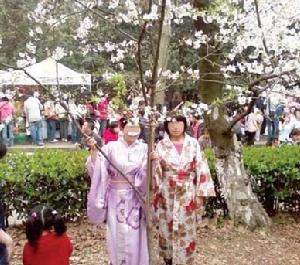 母女著和服在武大櫻園拍照