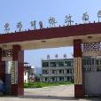 富嶺村(浙江省麗水市蓮都區富嶺鄉下轄村) 富嶺村(浙江省麗水市蓮都區富嶺鄉下轄村)