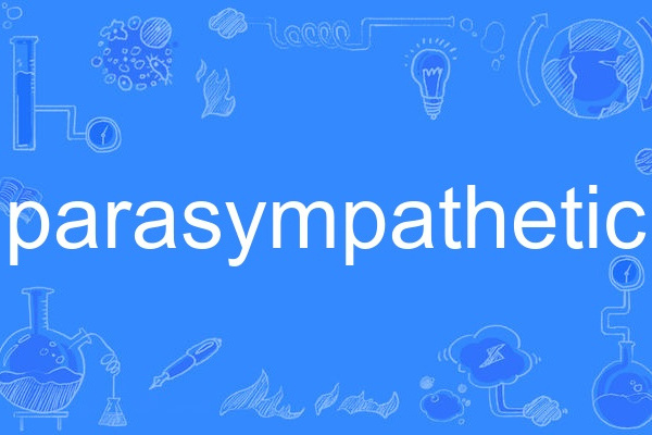 parasympathetic parasympathetic